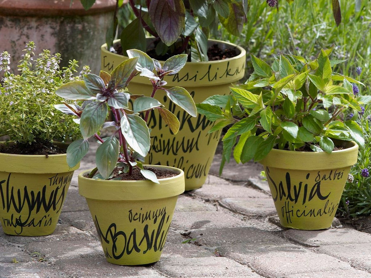 Beschriftete Tontöpfe