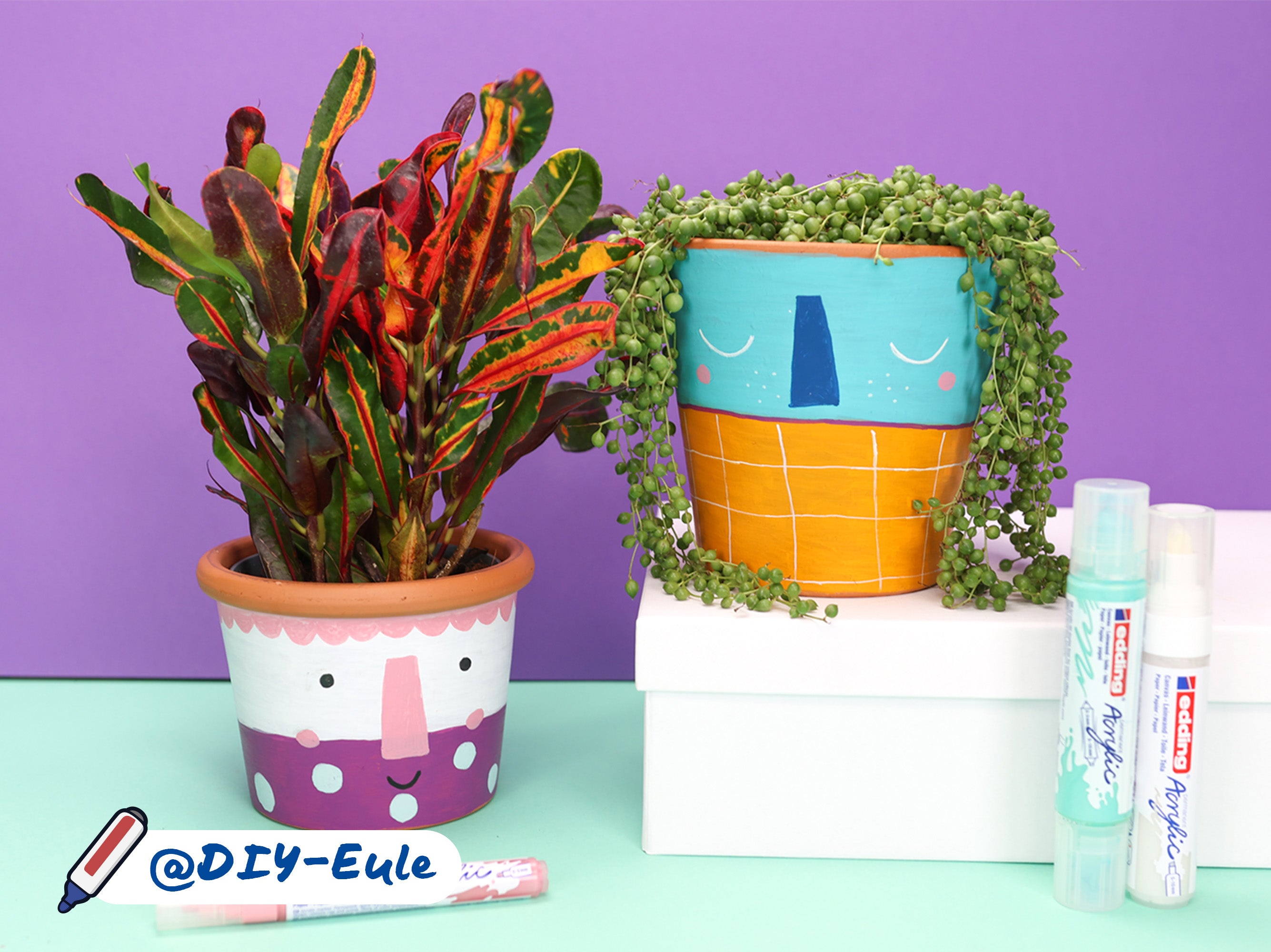 UserDIY-Eule bemalte Tontöpfe