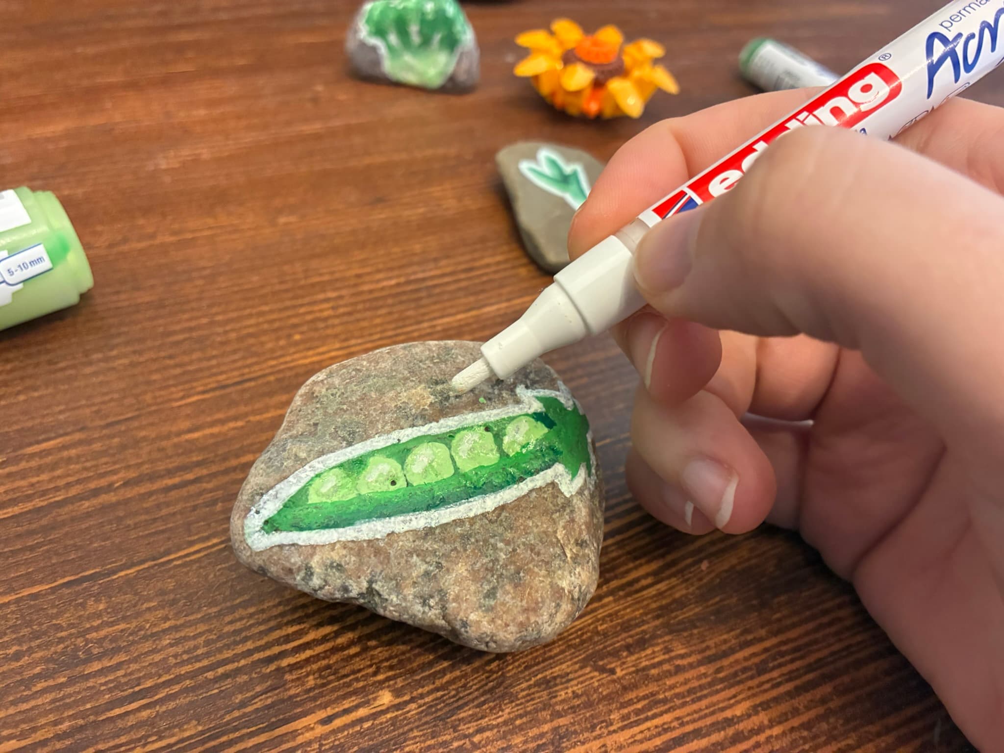 Stein bemalt mit einer Erbse als Schild für Pflanze