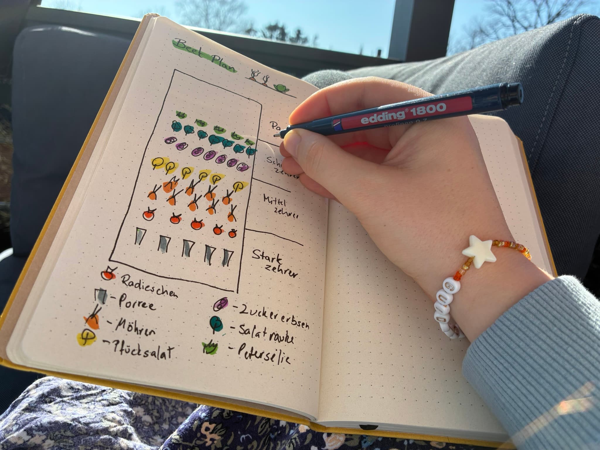 Beet-Plan wird im Journal skizziert