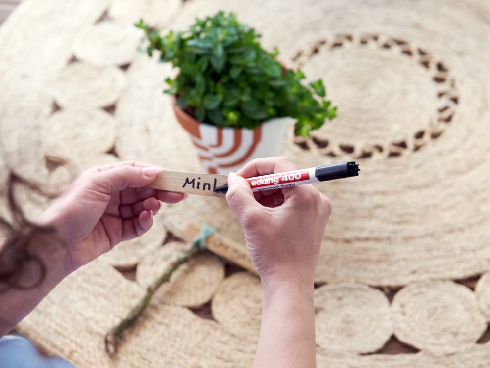 Alter Eisstiel wird als Pflanzenschild beschriftet