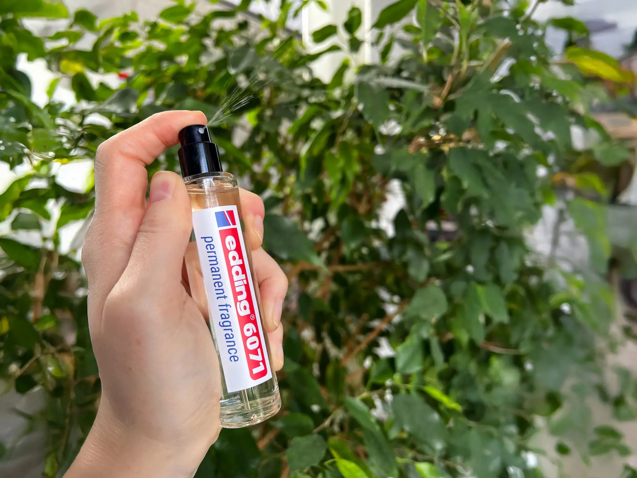 Eine Hand hält eine Sprühflasche mit der Aufschrift "edding 6071 permanent fragrance" von edding und besprüht damit eine grüne Blattpflanze in einem Innenraum.