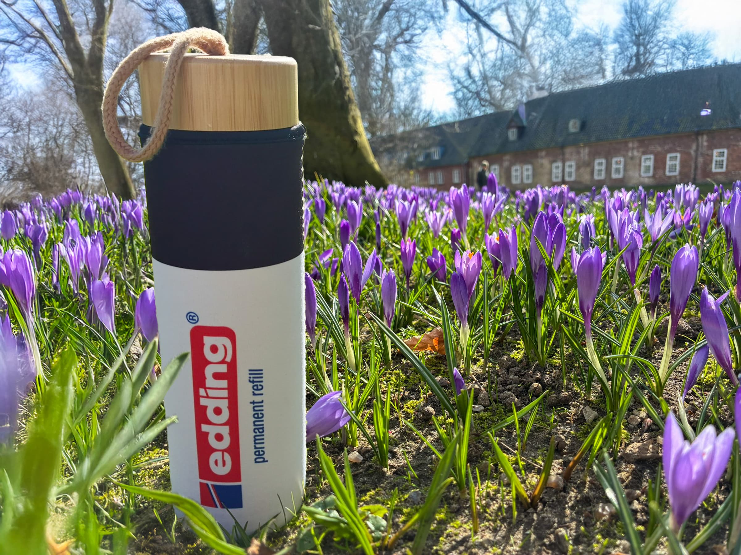 Eine edding Glasflasche 650 ml steht zwischen lila Krokussen vor Bäumen und einem historischen Backsteingebäude. Der sonnige, klare Himmel unterstreicht die lebendige Frühlingslandschaft.