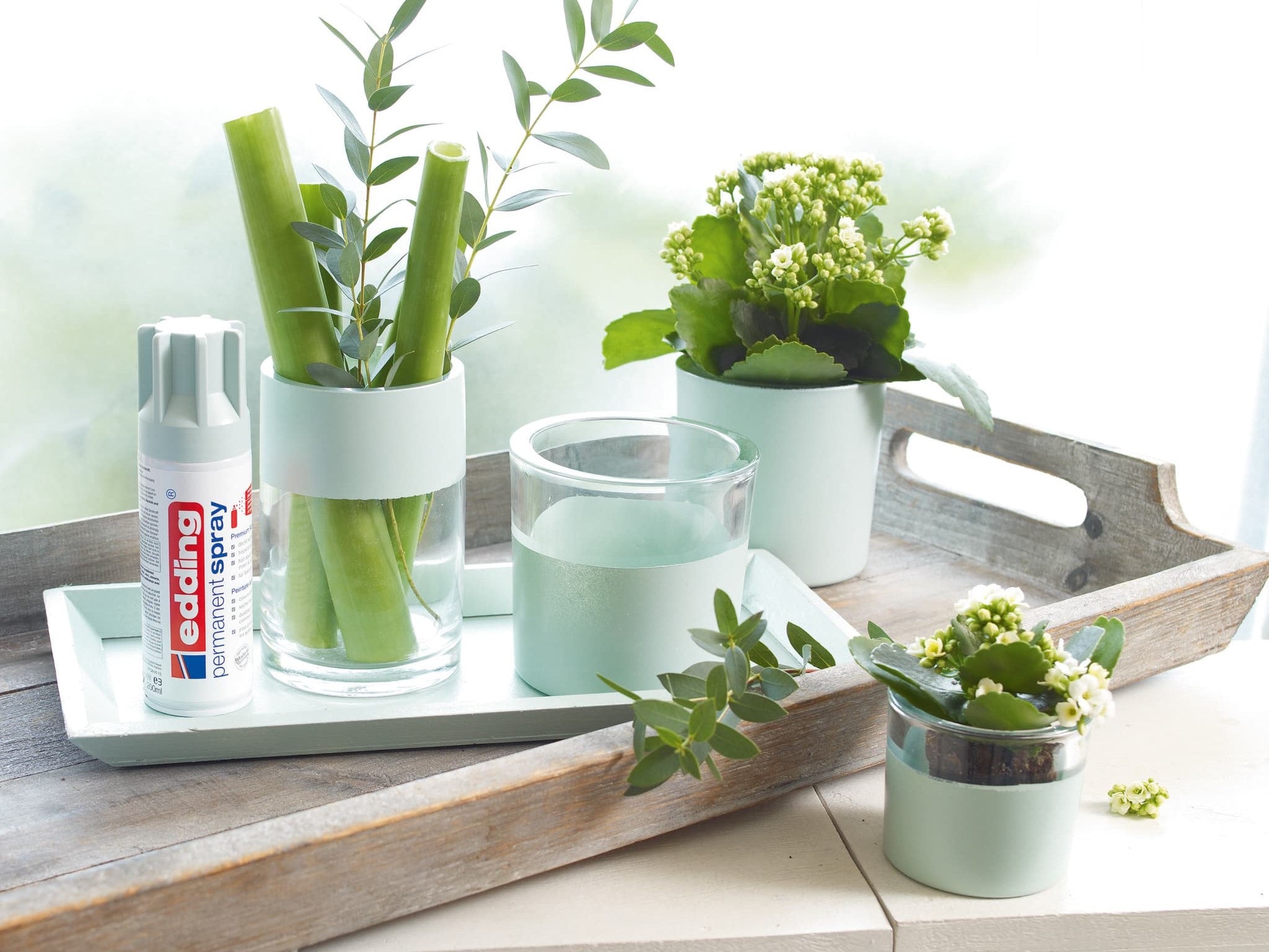 Ein ruhiges Wohndekor-Arrangement mit einem Holztablett und verschiedenen Gegenständen: einem Glas Wasser, einer kleinen Topfpflanze mit weißen Blüten, einigen zylindrischen Behältern mit Grünpflanzen und edding 5200 Permanentspray Acryllack Pastell & sanfte Farben.