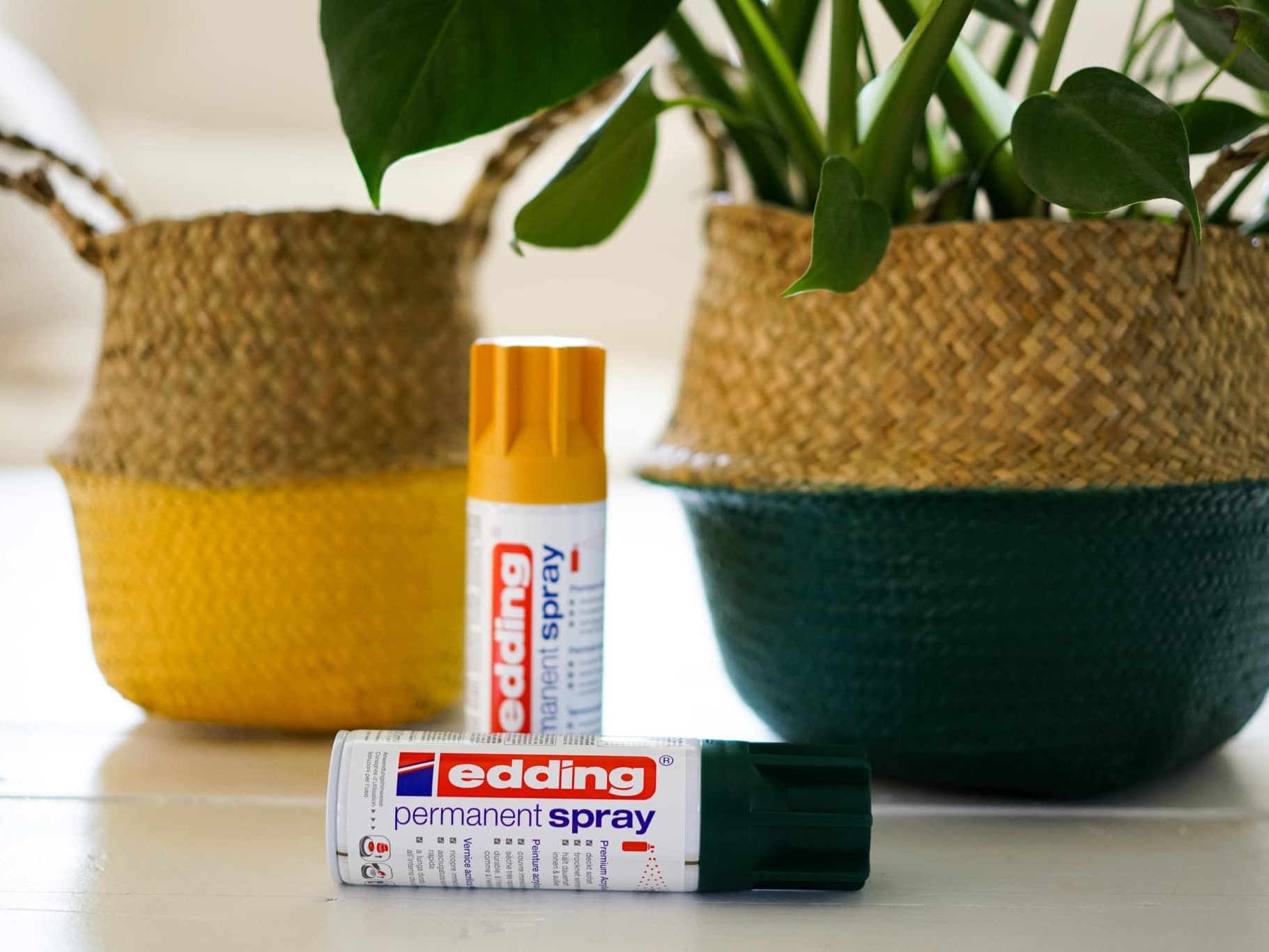 Zwei Dosen edding 5200 Permanentspray Acryllack Neon & Kräftige Farben in Neonorange und Neongrün stehen auf einer Tischplatte neben geflochtenen Blumentöpfen mit üppigen grünen Pflanzen.