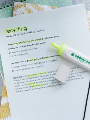 edding 24 EcoLine Highlighter Markieren von wichtigen Informationen in einem Text