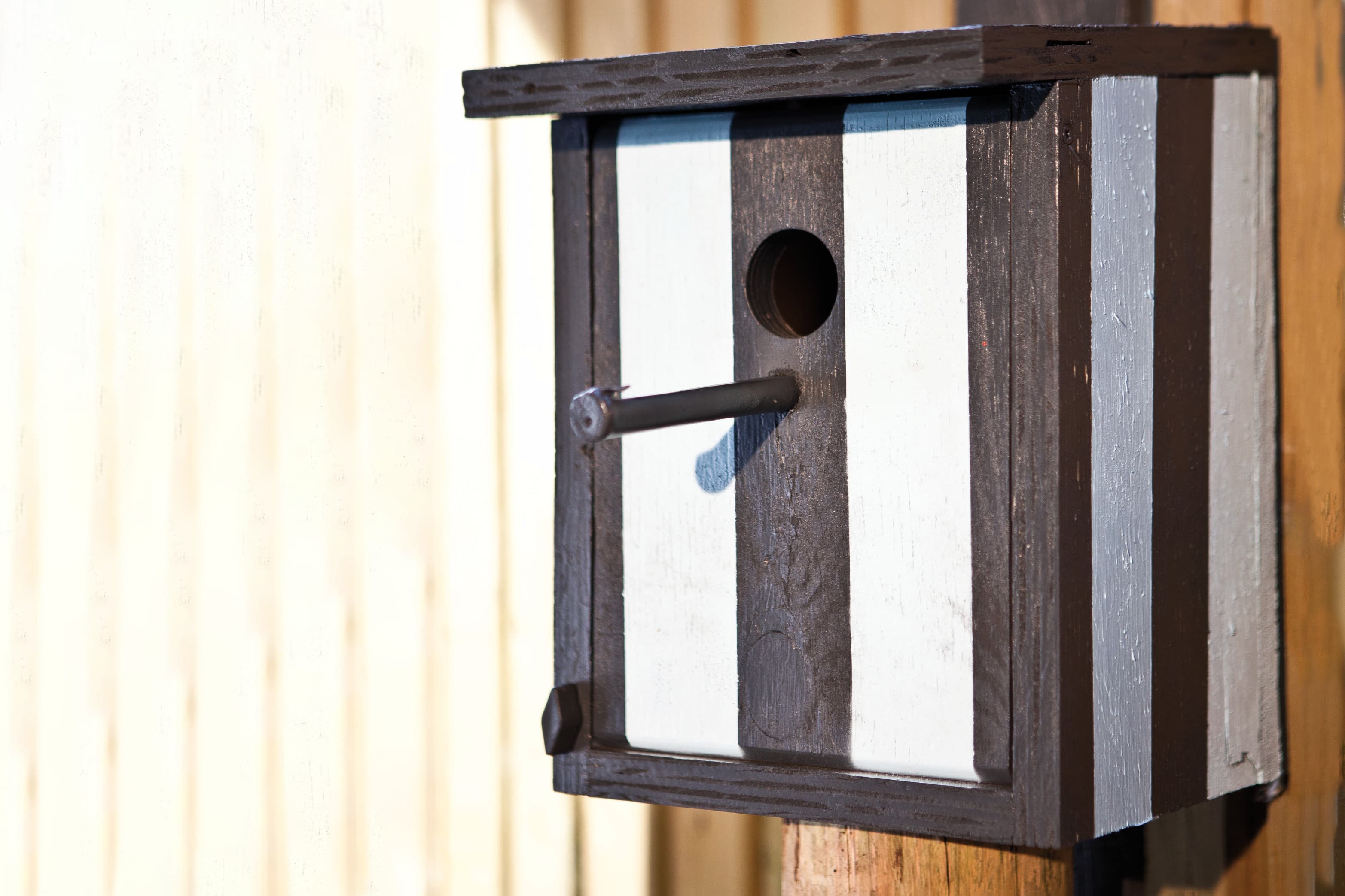 Anwendungsbild von edding 5200 Permanentspray Vogelhaus selbst gestalten DIY