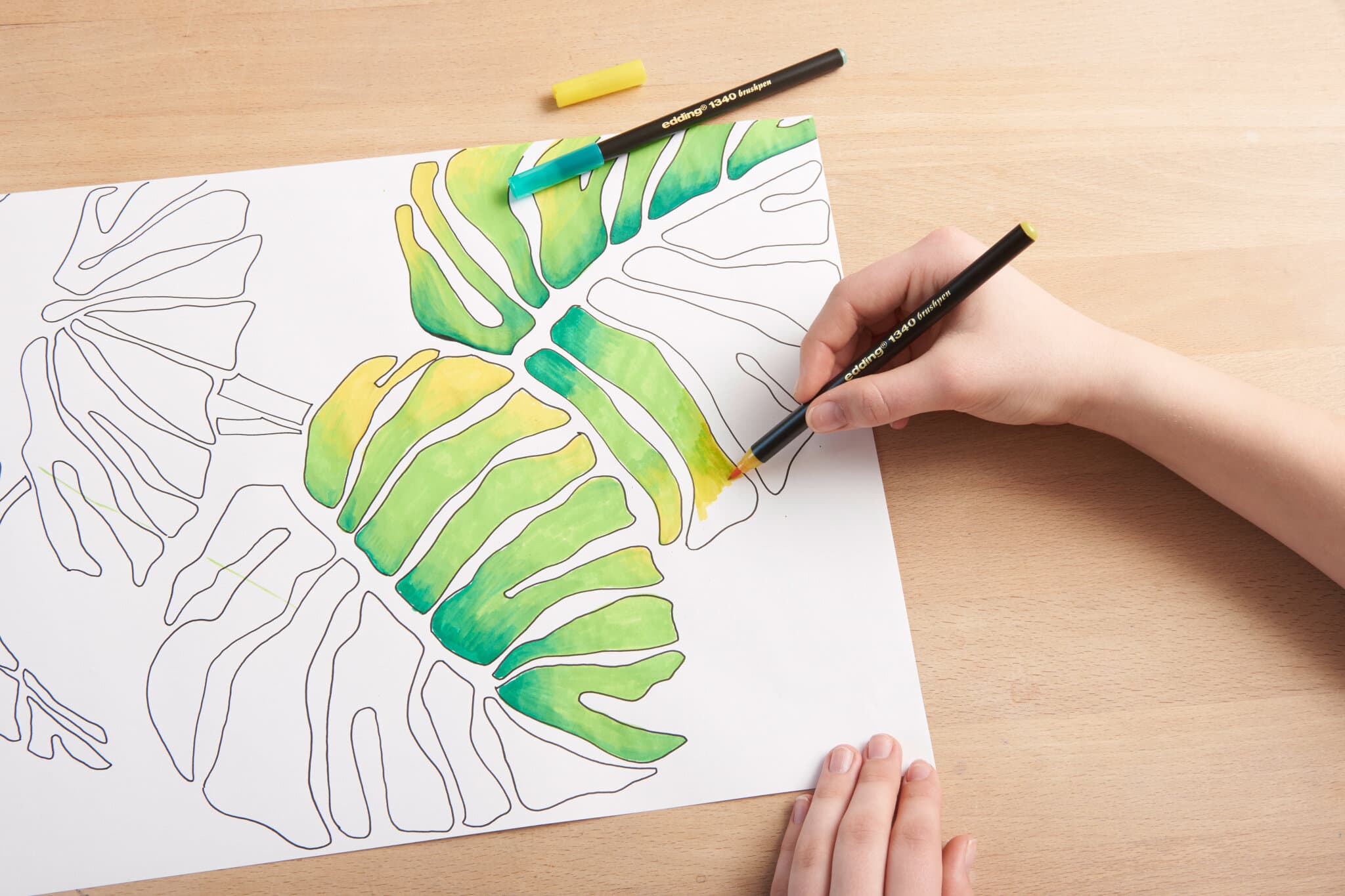 Anwendungsbild von edding 1340 Pinselstift Blätter Bild ausmalen Farbverlauf